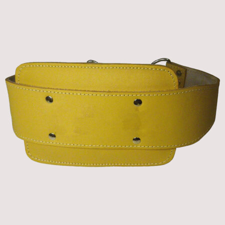 Dip Belt Leather 30 Steel Chain Quick Release Carabiner Clip Padded Lumbar Reinforced Stitching Colour Tan